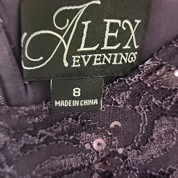 Alex Evenings Shearh Lace Dress with Sewuin Detail - Picture 5 of 6